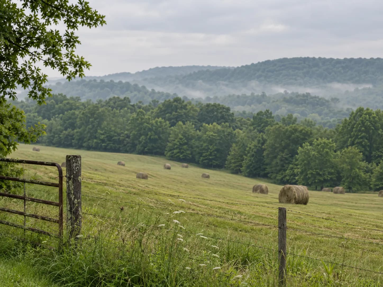 Hay bales in a Middle Tennessee field